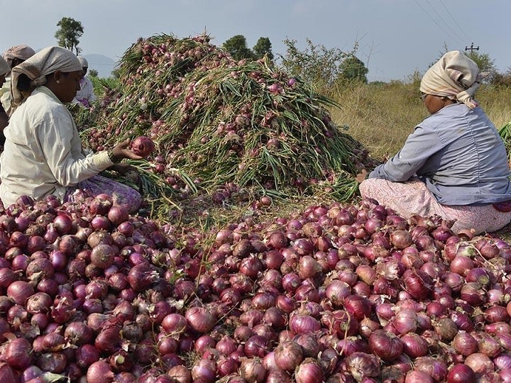 onion-price-rise:-सितंबर-में-महंगाई-के-अगले-डोज-की-कर-लीजिए-तैयारी,-टमाटर-हुआ-सस्ता…फिर-भी-नहीं-संभलेगा-रसोई-का-बजट