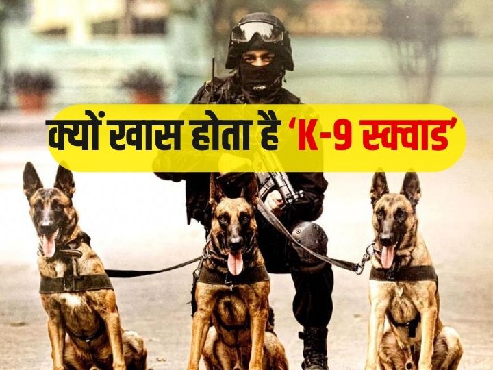 g-20-को-लेकर-सरकार-ने-बुला-ली-k-9-स्क्वाड…-क्या-आप-जानते-हैं-आखिर-इस-टीम-का-काम-क्या-है?