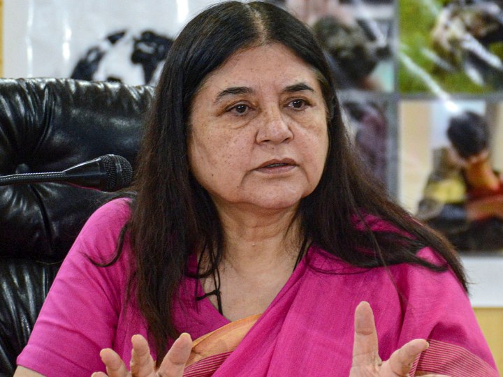 maneka-gandhi-remarks:-मेनका-गांधी-को-iskcon-ने-100-करोड़-का-मानहानि-नोटिस-भेजा,-कहा-‘न्याय-की-तलाश-में…’