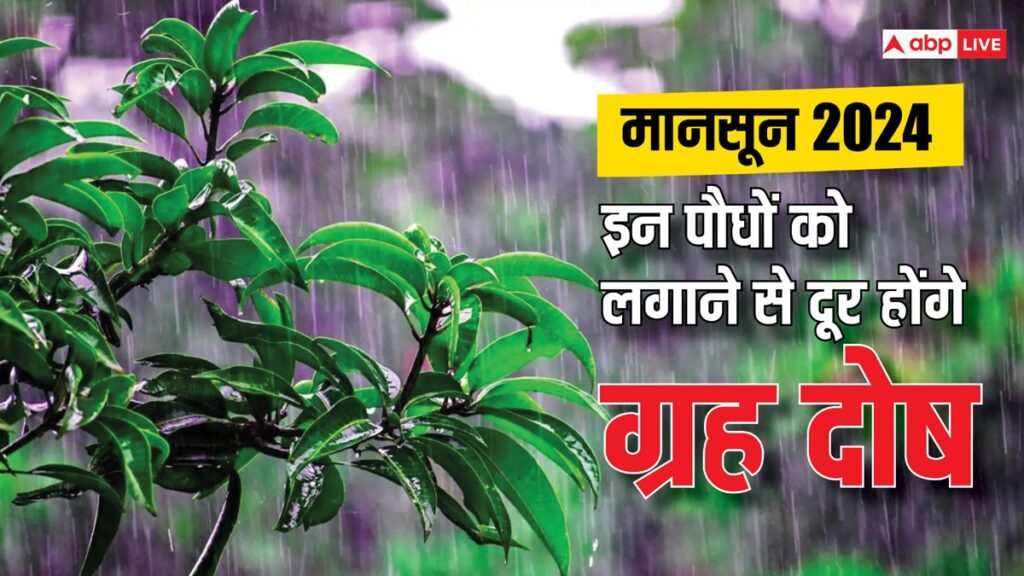 astro-tips:-ग्रहों-के-अनुसार-घर-में-लगाएं-पेड़,-दूर-होंगे-दोष,-खिंची-चला-आएगा-धन